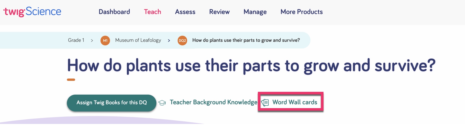 wordwall.jpg