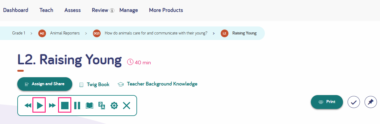 play button and stop buttons twig science elem.png