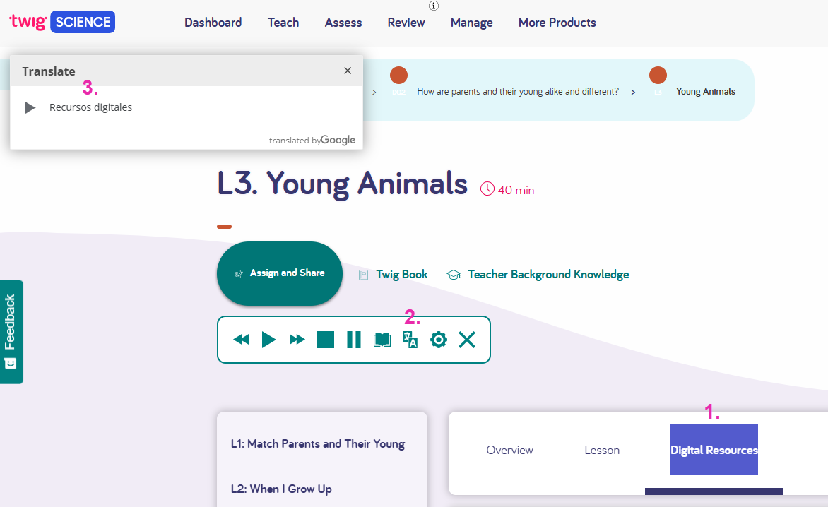 translation example twig middle school.png