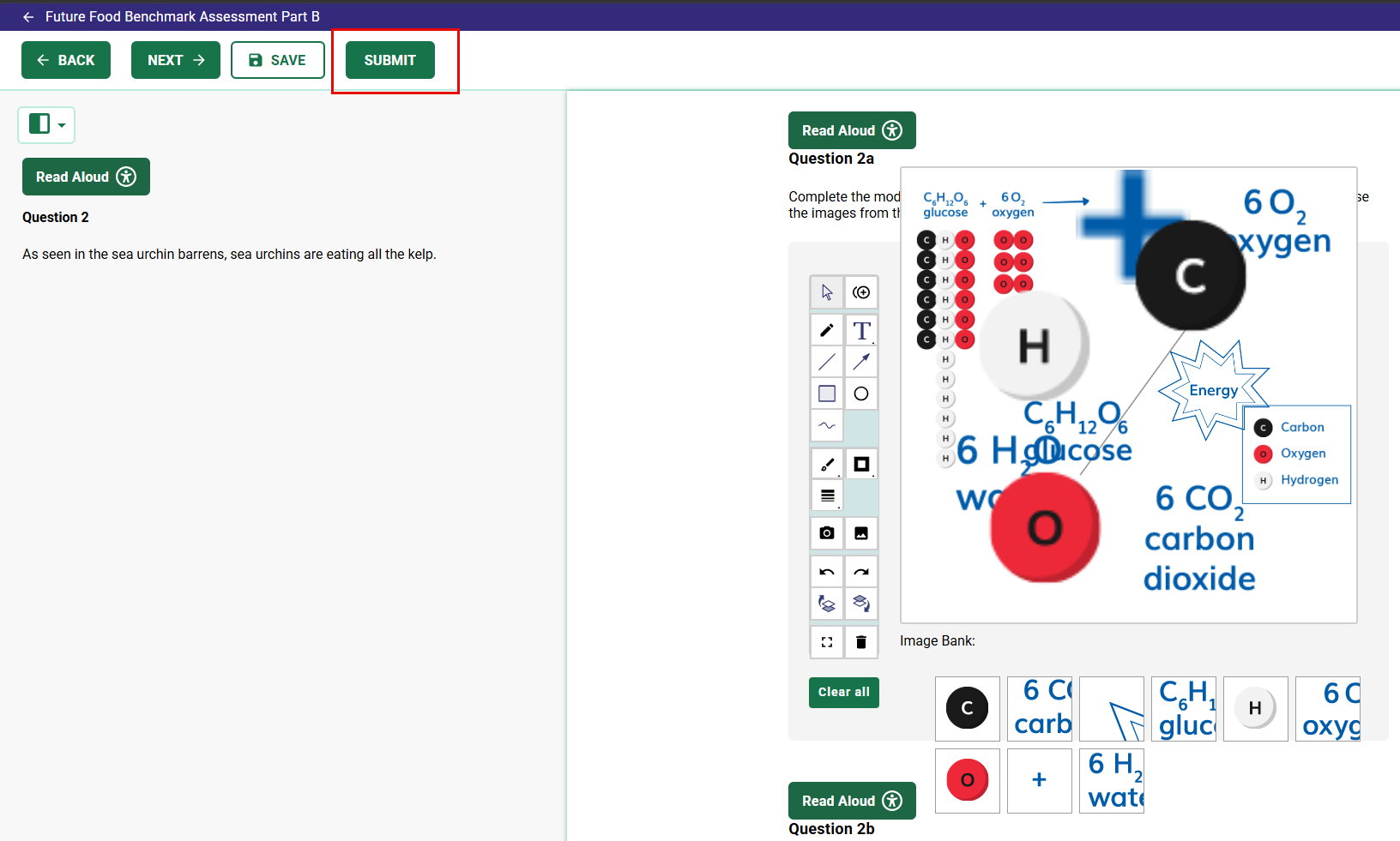 twig student submit button.png