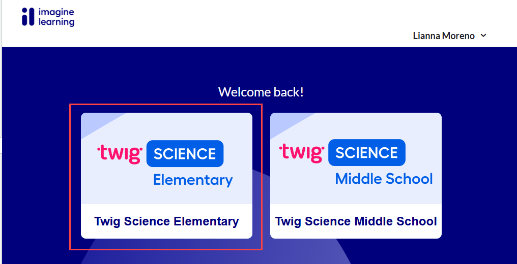 twig loads inside schoology or canvas.png
