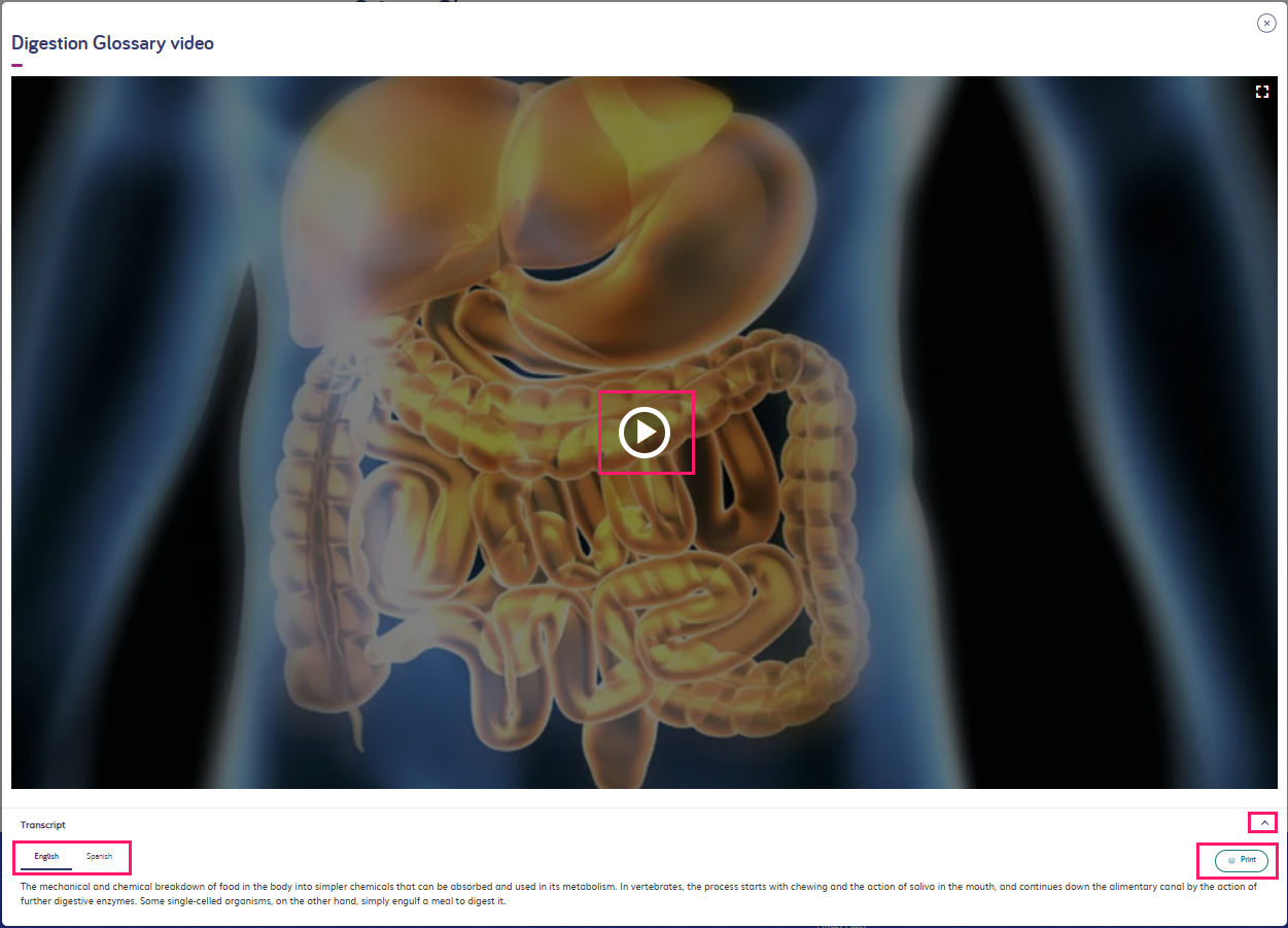 digestion glossary video.png