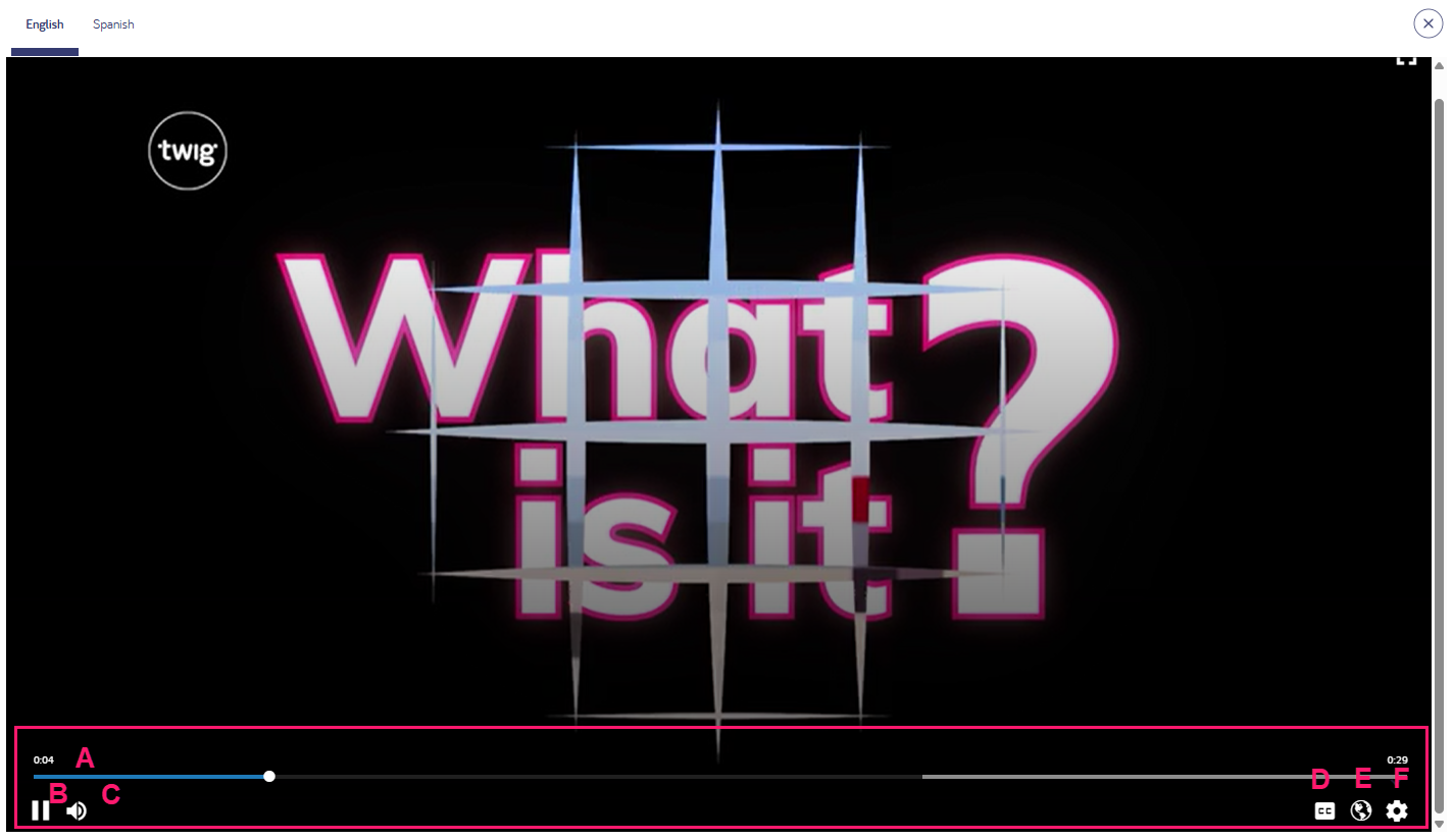 video controls.png
