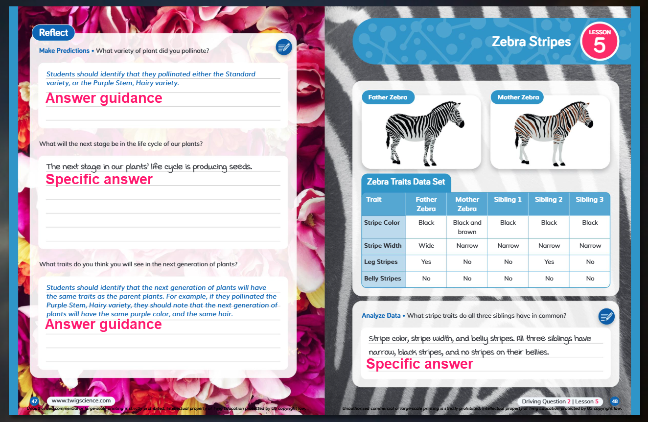 twig book example.png